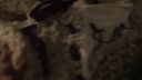 Once_Upon_A_Time_-_S01E01_28653329.jpg