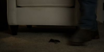 Walker_-_S01E01_mp4_20250929_074049_378.jpg