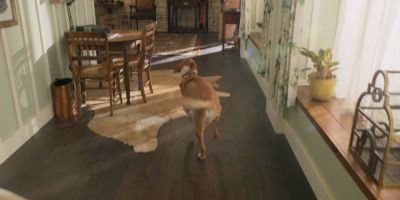 Walker_-_S01E01_mp4_20250929_074305_396.jpg
