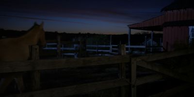 Walker_-_S01E01_mp4_20250929_081121_863.jpg