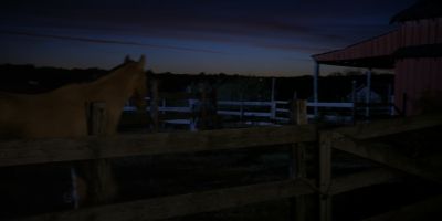 Walker_-_S01E01_mp4_20250929_081122_111.jpg