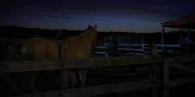 Walker_-_S01E01_mp4_20250929_081122_616.jpg