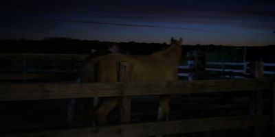 Walker_-_S01E01_mp4_20250929_081123_153.jpg
