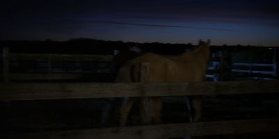 Walker_-_S01E01_mp4_20250929_081123_408.jpg