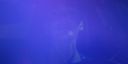 Walker_-_S01E01_mp4_20250929_073958_983.jpg