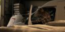 Walker_-_S01E01_mp4_20250929_080611_780.jpg