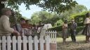 FATHER_BROWN_-_S01E01_mp4_20251002_234317_963.jpg