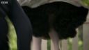 FATHER_BROWN_-_S01E01_mp4_20251002_234728_181.jpg