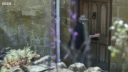FATHER_BROWN_-_S01E01_mp4_20251003_000428_737.jpg