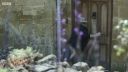 FATHER_BROWN_-_S01E01_mp4_20251003_000428_977.jpg