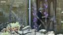 FATHER_BROWN_-_S01E01_mp4_20251003_000429_497.jpg