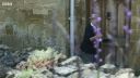FATHER_BROWN_-_S01E01_mp4_20251003_000430_256.jpg