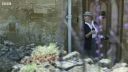 FATHER_BROWN_-_S01E01_mp4_20251003_000430_533.jpg
