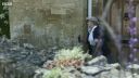 FATHER_BROWN_-_S01E01_mp4_20251003_000431_296.jpg