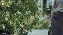 FATHER_BROWN_-_S01E01_mp4_20251003_000513_696.jpg
