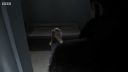 FATHER_BROWN_-_S01E01_mp4_20251003_000953_875.jpg