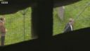 FATHER_BROWN_-_S01E01_mp4_20251003_001906_620.jpg
