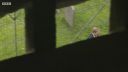 FATHER_BROWN_-_S01E01_mp4_20251003_001906_862.jpg