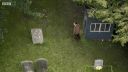 FATHER_BROWN_-_S01E01_mp4_20251003_001949_821.jpg