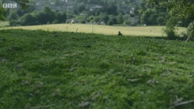 FATHER_BROWN_-_S01E02_mp4_20251003_101732_280.jpg