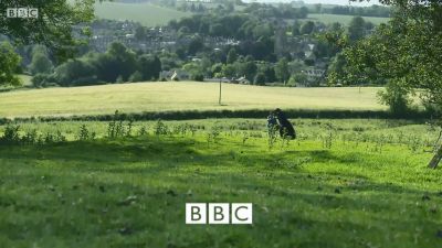 FATHER_BROWN_-_S01E02_mp4_20251003_101735_869.jpg