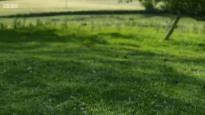 FATHER_BROWN_-_S01E02_mp4_20251003_101812_654.jpg