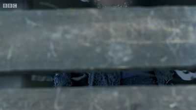 FATHER_BROWN_-_S01E02_mp4_20251003_102324_320.jpg