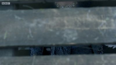 FATHER_BROWN_-_S01E02_mp4_20251003_102324_408.jpg