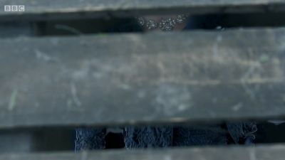 FATHER_BROWN_-_S01E02_mp4_20251003_102324_492.jpg