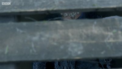 FATHER_BROWN_-_S01E02_mp4_20251003_102324_568.jpg