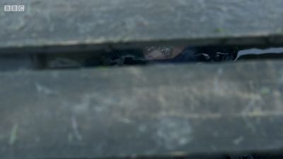 FATHER_BROWN_-_S01E02_mp4_20251003_102324_645.jpg