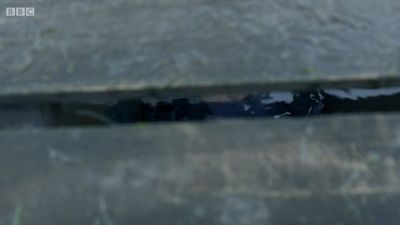 FATHER_BROWN_-_S01E02_mp4_20251003_102324_724.jpg