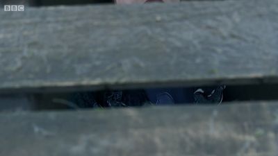 FATHER_BROWN_-_S01E02_mp4_20251003_102324_819.jpg