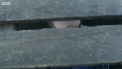 FATHER_BROWN_-_S01E02_mp4_20251003_102325_077.jpg