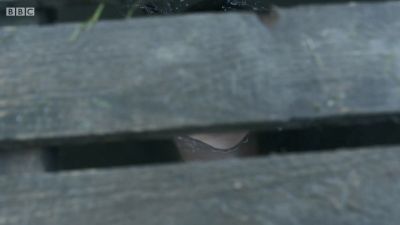 FATHER_BROWN_-_S01E02_mp4_20251003_102325_243.jpg