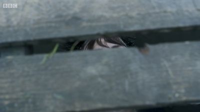 FATHER_BROWN_-_S01E02_mp4_20251003_102325_479.jpg