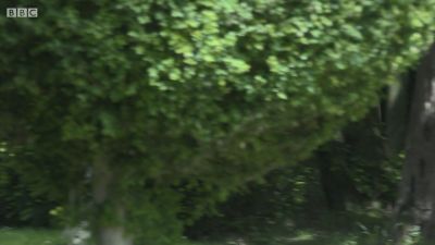FATHER_BROWN_-_S01E02_mp4_20251003_104617_013.jpg
