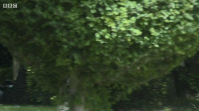 FATHER_BROWN_-_S01E02_mp4_20251003_104617_252.jpg