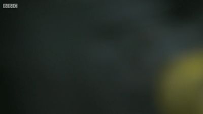 FATHER_BROWN_-_S01E02_mp4_20251003_110329_979.jpg