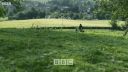FATHER_BROWN_-_S01E02_mp4_20251003_101733_833.jpg