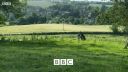 FATHER_BROWN_-_S01E02_mp4_20251003_101735_869.jpg