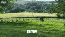 FATHER_BROWN_-_S01E02_mp4_20251003_101736_389.jpg