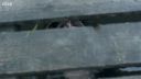 FATHER_BROWN_-_S01E02_mp4_20251003_102325_400.jpg