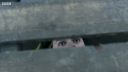FATHER_BROWN_-_S01E02_mp4_20251003_102326_010.jpg