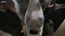 FATHER_BROWN_-_S01E02_mp4_20251003_102759_596.jpg