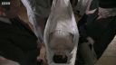 FATHER_BROWN_-_S01E02_mp4_20251003_102759_696.jpg