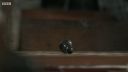 FATHER_BROWN_-_S01E02_mp4_20251003_104211_864.jpg