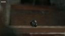 FATHER_BROWN_-_S01E02_mp4_20251003_104212_104.jpg