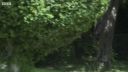 FATHER_BROWN_-_S01E02_mp4_20251003_104616_733.jpg