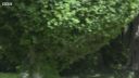 FATHER_BROWN_-_S01E02_mp4_20251003_104617_013.jpg